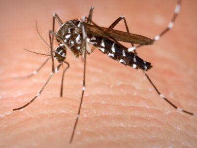 Nuevo brote de dengue mata a 14 personas en Amazonía de Perú