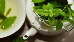 Beneficios del té de hierbabuena elimina las flatulencias
