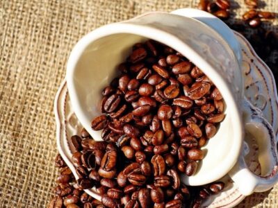 Desarrolla la UNAM parche de cafeína para disminuir el sobrepeso