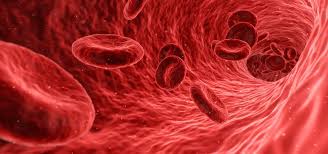 Los glóbulos rojos serán el futuro de las vacunas