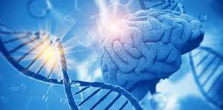 Hallan dos nuevos genes relacionados con el Alzheimer