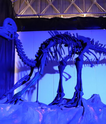 Abre sus puertas el Museo Itinerante Tierra de Dinosaurios