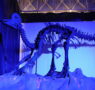 Abre sus puertas el Museo Itinerante Tierra de Dinosaurios